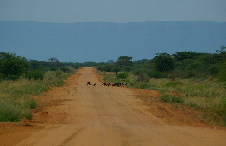 795 Namibia Okt 2006 .JPG